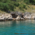 20100629-Otok-Krk-Isola-di-Veglia-005