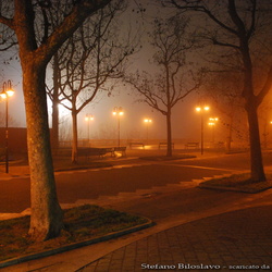 Nebbia a Trieste - gennaio 2011