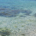 20110710-isola-di-veglia-otok-krk-25