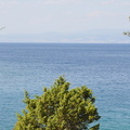 20130813-Isola-di-Veglia-Otok-Krk-021