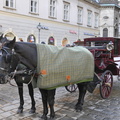 20131209-Vienna-080