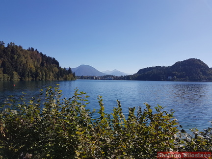 20180830-Lago-di-Bled-siti-04