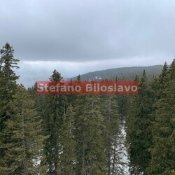 Rogla - Slovenia - Febbraio 2023