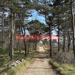 Basovizza - Marzo 2024