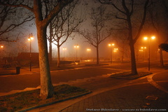20110117-nebbia-a-Trieste-5-web